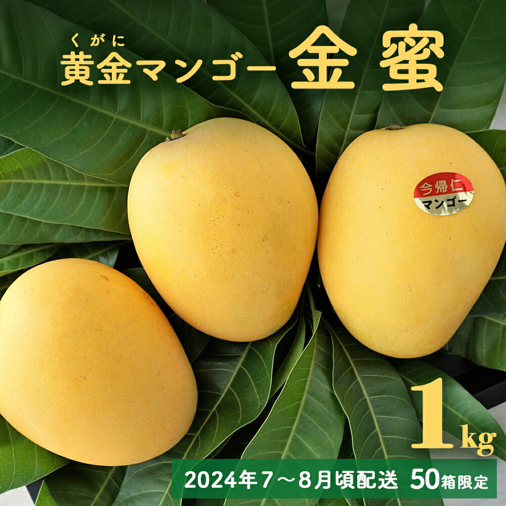 【ふるさと納税】黄金(くがに)マンゴー「金蜜」(1kg) 【2024年7～8月頃配送】【50箱限定】生産者直送