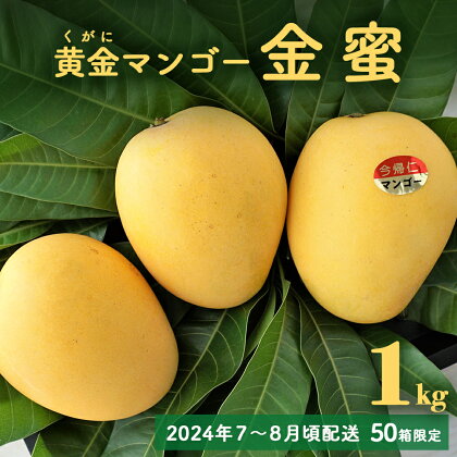 黄金(くがに)マンゴー「金蜜」(1kg) 【2024年7～8月頃配送】【50箱限定】生産者直送