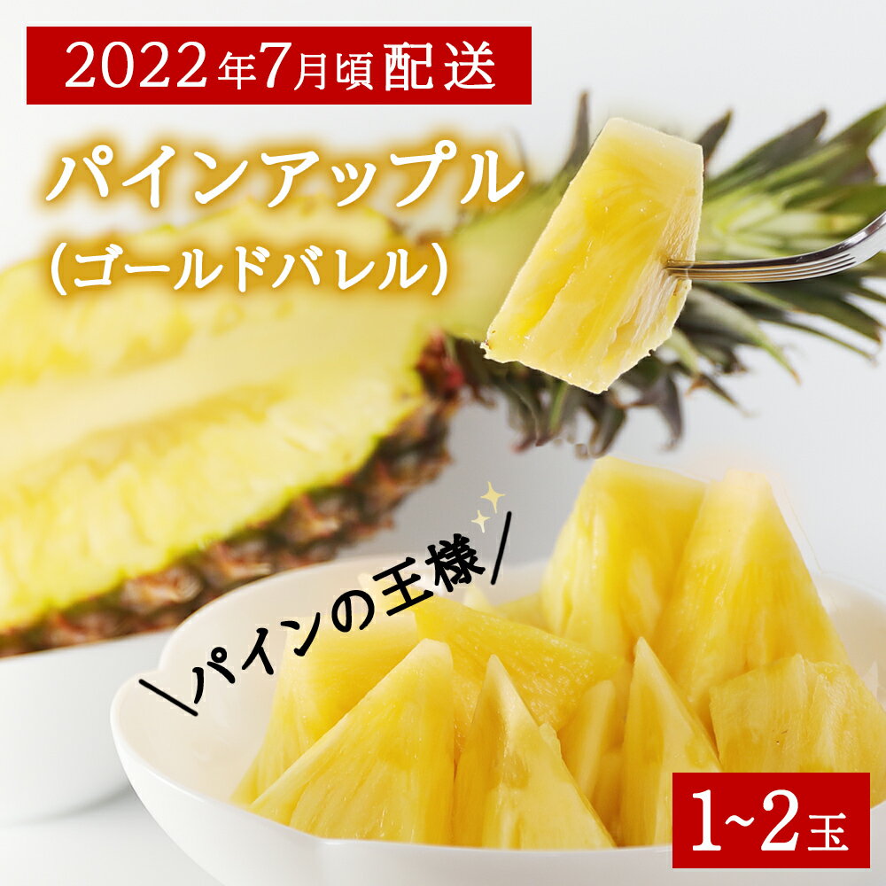 市場 ふるさと納税 お手頃品種 沖縄県産パイナップル