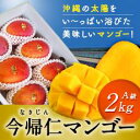 【ふるさと納税】【2019年7月〜8月頃発送】 先行予約 生...