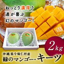 【ふるさと納税】【先行予約】緑のマンゴー・キーツ(2kg)2...