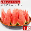 【ふるさと納税】【JAおきなわ】厳選すいか!ぬちぐすいーと 大玉7kg以上【2026年4月~5月頃発送】先行予約