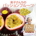 【ふるさと納税】【無農薬】和子さんちのパッションフルーツ　約2kg【2024年7月頃お届け】