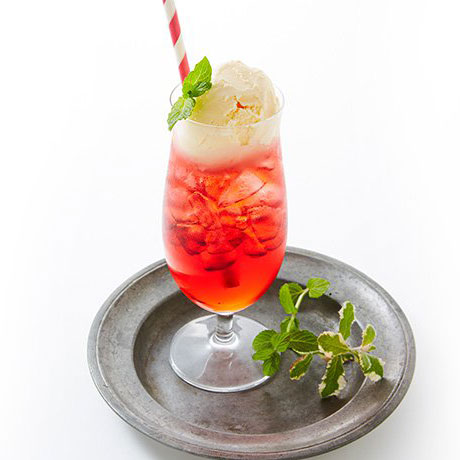 【ふるさと納税】【濃縮タイプ】ぴゅあなアセローラ （500ml）　2本セットが大人気返礼品になっている理由とは　ふるさと納税　人気　返礼品　ランキング