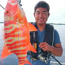 【ふるさと納税】海人(うみんちゅ)と行く沖釣り体験ツアー...