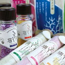 【ふるさと納税】沖縄フレーバーソルト 塩彩 10種類セット
