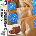 5位! 口コミ数「0件」評価「0」石垣島美崎牛の欧風カレー 各200g × 5パック ビストロリュイール｜カレー カレーライス 欧風 フレンチ スパイス 肉 お肉 にく 食品･･･ 