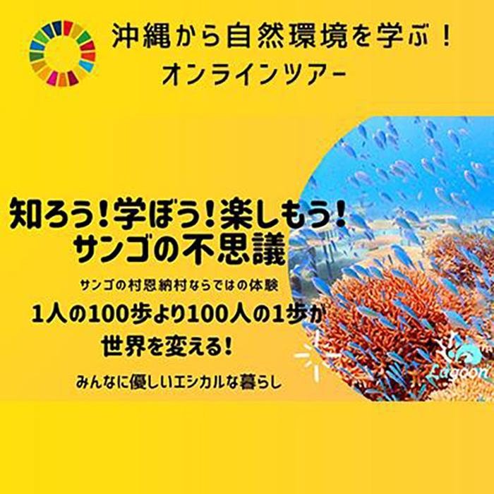 【ふるさと納税】チケット【参加特典付き貸切オンラインツアー】沖縄から自然環境を学ぶ！サンゴの不...