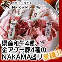 【ふるさと納税】琉球焼肉NAKAMA 県産和牛4種、金アグー豚4種のNAKAMA盛り ご利用券