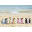 【ふるさと納税】海塩 南の島恵み塩 4種セット 160g( 40g×4個 )