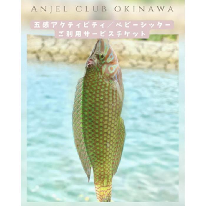 【ふるさと納税】【Anjel club】44,000円分　アクティビティ＆ベビーシッター利用券｜チケット 券 自然 シッター 体験 お子様 リゾート ふるさと納税 恩納村 沖縄 人気 おすすめ 送料無料 3