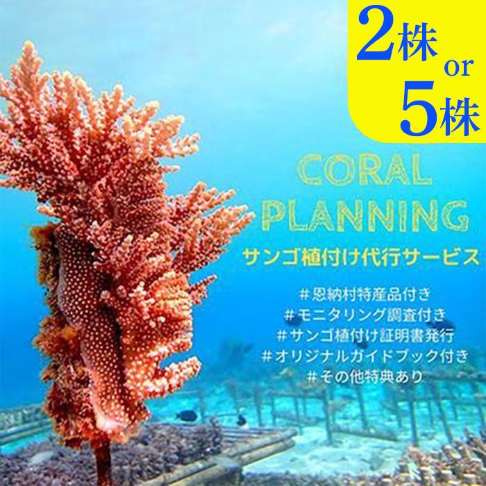 チケット サンゴ植付け ｜ 代行サービス「2株 or 5株」 | 券 チケット ダイビング 体験 アクティビティ リゾート ふるさと納税 万座 恩納村 沖縄人気 おすすめ 送料無料