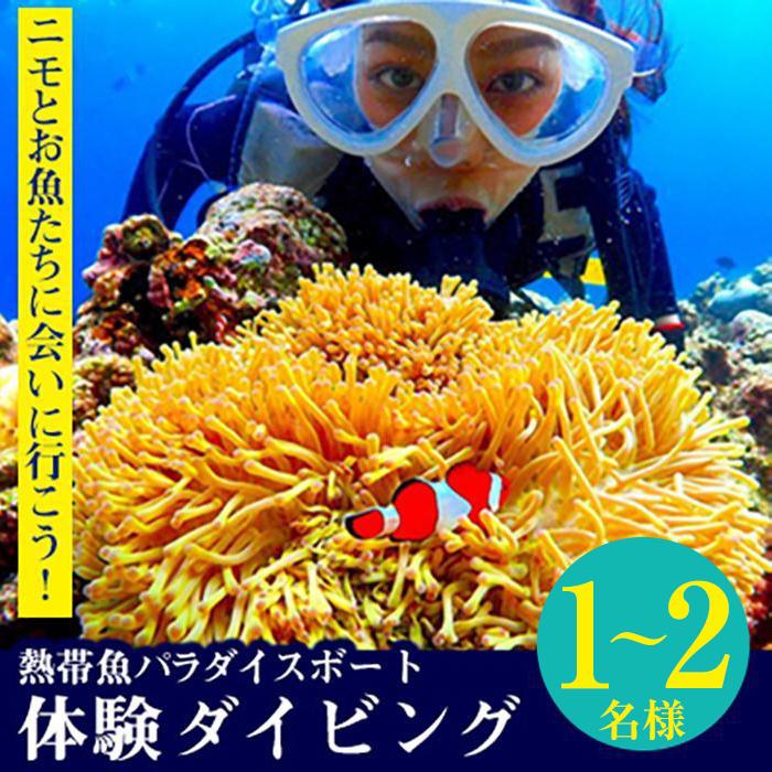 マリンスポーツ(ダイビング・シュノーケリング)人気ランク19位　口コミ数「0件」評価「0」「【ふるさと納税】ニモとお魚たちに会いに行こう！熱帯魚パラダイスボート体験ダイビング 1名様～2名様」