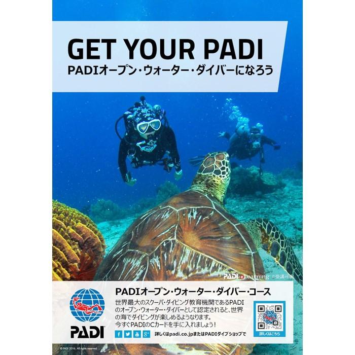 【ふるさと納税】チケット PADIダイビング講...の紹介画像2