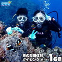 【ふるさと納税】青の洞窟 体験ダイビング(ボート)1名様 ふるさと納税限定! | 青の洞窟 ダイビング チケット 券 金券 恩納村 沖縄 人気 おすすめ 送料無...