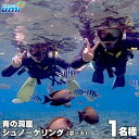 【ふるさと納税】青の洞窟 シュノーケリング(ボート)1名様 ふるさと納税限定! | 青の洞窟 シュノーケル チケット 券 金券 恩納村 沖縄 人気 おすすめ 送...