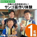 【ふるさと納税】チケット サンゴ苗作り体験 | 「1名」「2名または1名×2株」沖縄サンゴの村【恩納村ラグーン】 | 券 チケット ダイビング 体験 アクティビ...
