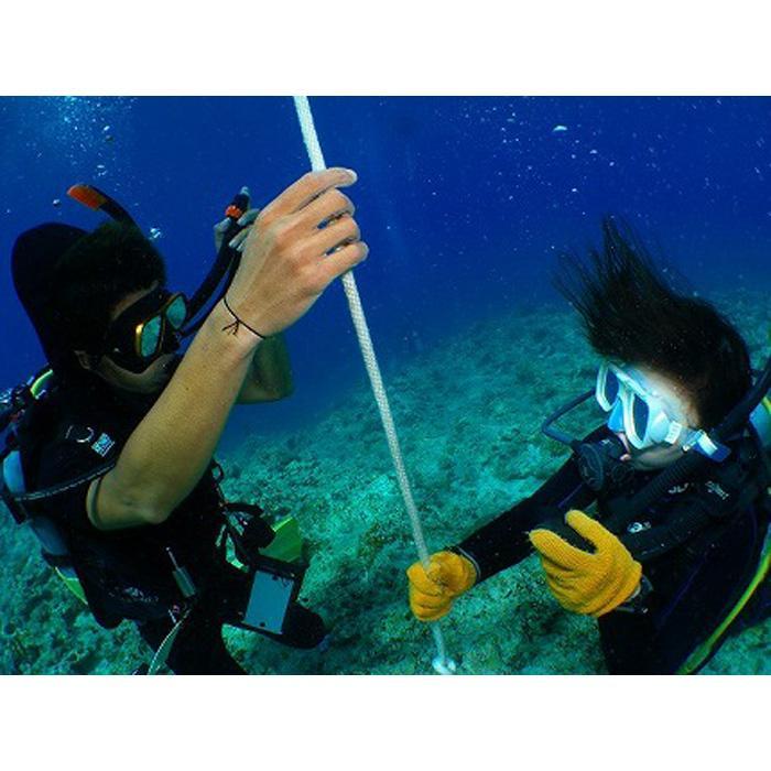 【ふるさと納税】【オフシーズン限定キャンペーン！】ダイビングライセンス講習【PADI オープンウォーターダイバー（OWD）】「1名様～2名様」 | ダイビング ライセンス 講習 青の洞窟 洞窟 海 体験 チケット 券 金券 人気 おすすめ 送料無料 恩納村 真栄田岬 沖縄 2