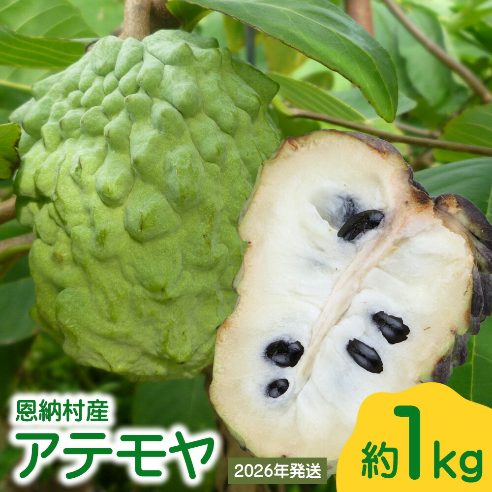 【ふるさと納税】【2026年発送】恩納村産アテモヤ 約1kgのサムネイル