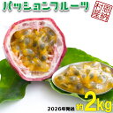 【ふるさと納税】【2026年発送】産地認定!!恩納村産パッションフルーツ(約2kg)