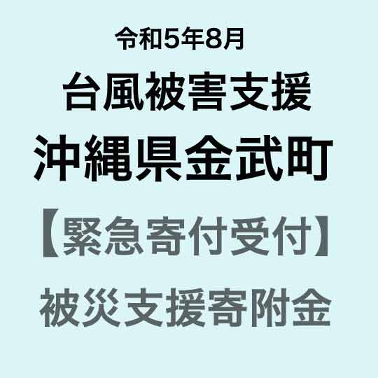 【ふるさと納税】【令和5年8月台風災害支援緊急寄附受付】沖縄県金武町災害応援寄附金（返礼品はありません）