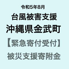 【ふるさと納税】【令和5年8月台風災害支援緊急寄附受付】沖縄県金武町災害応援寄附金（返礼品はありません）