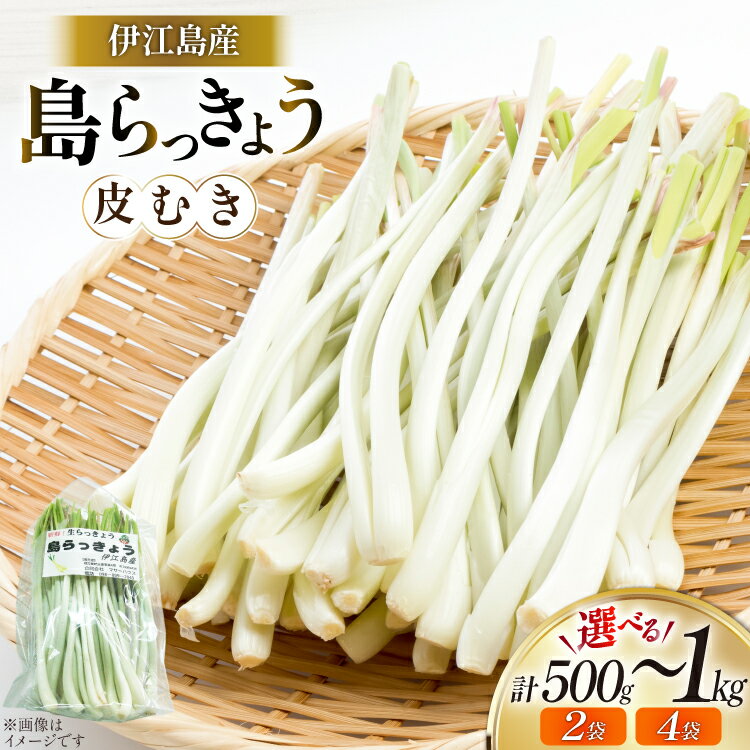 【ふるさと納税】 【期間限定発送】 島らっきょう 生 皮むき 選べる内容量 250g 2袋 計 500g or 4袋 計..