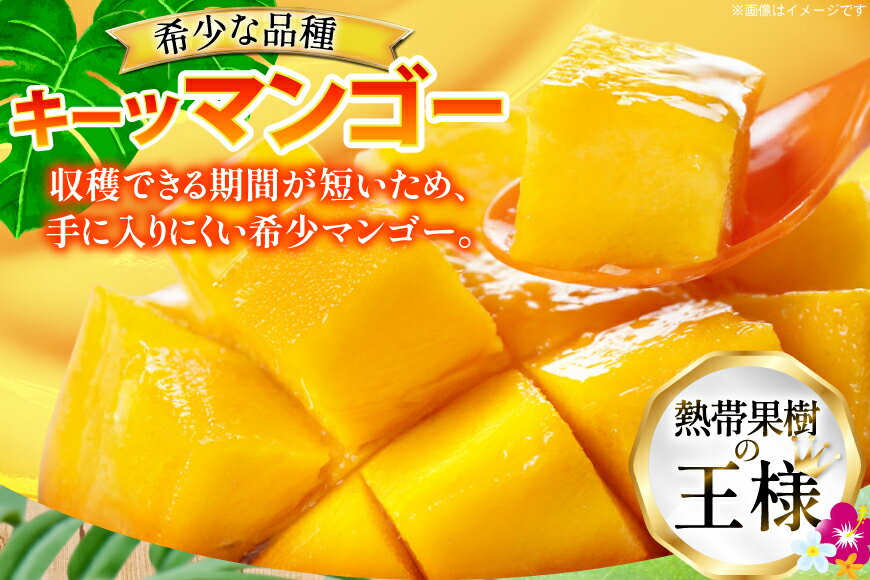 【ふるさと納税】 【期間限定発送】 キーツ マンゴー 秀品 約 2kg (2〜3玉) [伊江村マンゴー部会 沖縄県 伊江村 ie47bde320009] キーツマンゴー 沖縄 フルーツ 果物 甘い 夏 濃厚 Mango 果物 果実 くだもの
