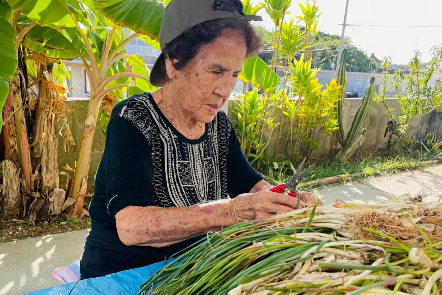 【ふるさと納税】 らっきょう 島らっきょうの甘酢漬け 100g 10個 [NOGUS 沖縄県 伊江村 ie47bde420001] 島らっきょう 甘酢漬け