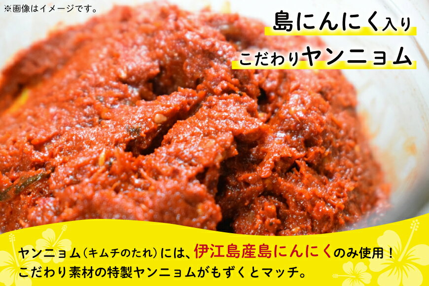 【ふるさと納税】 もずく 沖縄 ちょい辛 もずくキムチ 250g 6個 [NOGU's 沖縄県 伊江村 ie47bde420009] キムチ 小分け 伊江島 島にんにく シークヮーサー