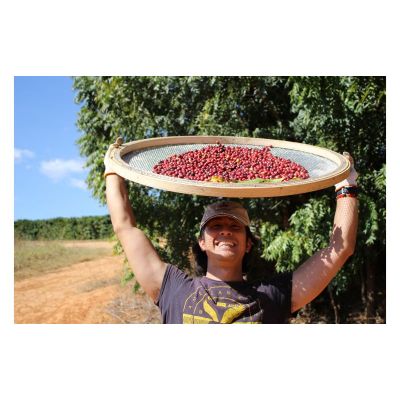 【ふるさと納税】【VIVA LA COFFEE】ふるさと納税　ブレンドセット（各200g）