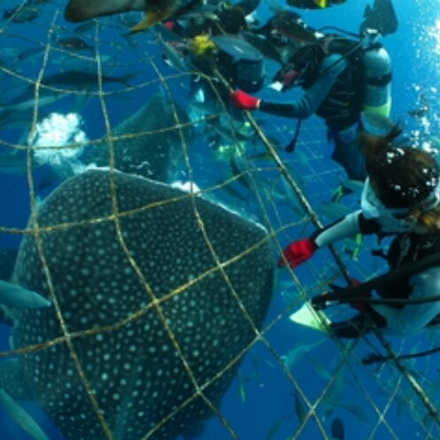 �ڤդ뤵��Ǽ�ǡ۰���������٥������θ������ӥ󥰡�4̾�͡�