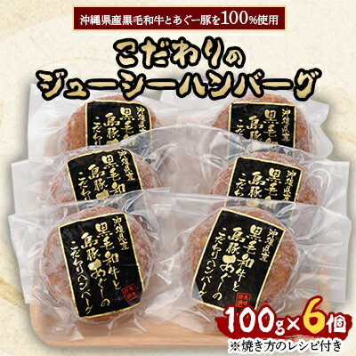 沖縄県産黒毛和牛とあぐー豚を100%使用したこだわりのジューシーハンバーグ100g×6個【配送不可地域：離島】【1111276】