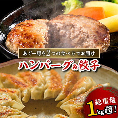 【ふるさと納税】総重量1kg超!あぐー豚を2つの食べ方でお届けします(ハンバーグ&餃子)【配送不可地域：離島】【1139598】