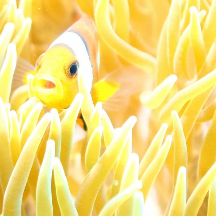 沖縄県北谷町の画像3