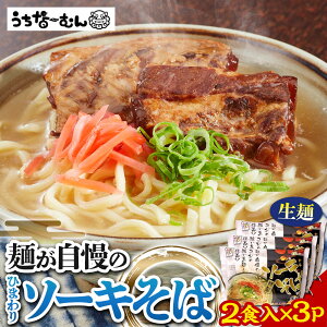 【ふるさと納税】ひまわり ソーキそば 2食 袋入 3P | | 沖縄そば 沖縄 美味しさに 訳あり 北谷町 おすすめ 人気 送料無料