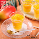 【ふるさと納税】沖縄県産完熟マンゴーソルベ スイーツ デザート お土産 手土産 おやつ パーティー ギフト アイス