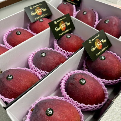 沖縄県中城村の画像2