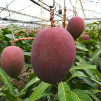 沖縄県中城村の画像2