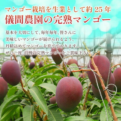 沖縄県中城村の画像3