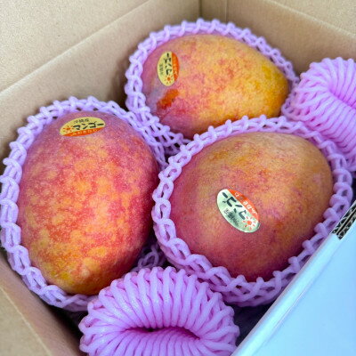 沖縄県中城村の画像2