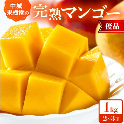 【ふるさと納税】【2026年7月から順次発送・化粧箱】中城果樹園の完熟マンゴー 優品1.0kg(2〜3玉)【配送不可地域:離島】【1673160】