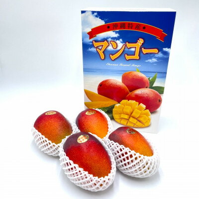 沖縄県中城村の画像2