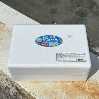 沖縄県中城村の画像3