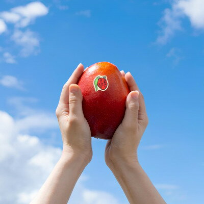 沖縄県中城村の画像2