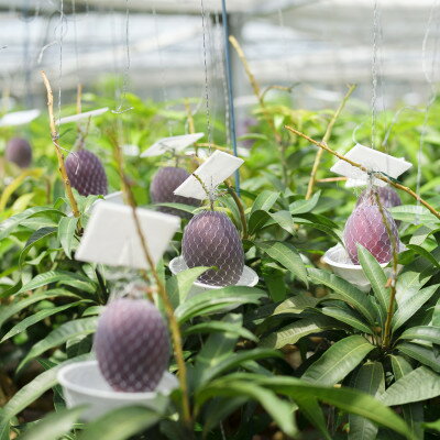 沖縄県中城村の画像3