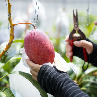 沖縄県中城村の画像2