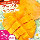 【ふるさと納税】【2026年6月から順次発送・訳あり】アップルマンゴー3.0kg(6〜12玉)【配送不可地域:離島】【1681762】