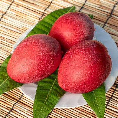 沖縄県中城村の画像2