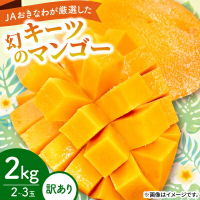【ふるさと納税】【2026年8月から順次発送・訳あり】JAおきなわ厳選した幻のキーツマンゴー2kg(2〜3玉)【配送不可地域:離島】【1681780】
